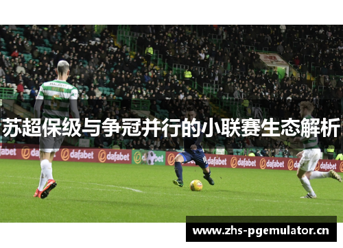 苏超保级与争冠并行的小联赛生态解析 苏超保级与争冠并行的小联赛生态解析